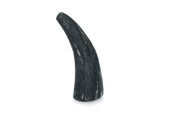 Viking Horn Whole S