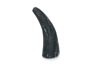 Viking Horn Whole S