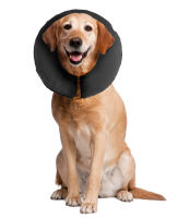 Zenpet ProCollar XL