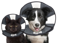 Zenpet Procone S