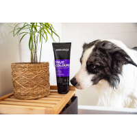 Animology True Colours Hundeshampoo