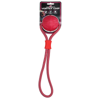 Dog Comets Vortex Loop Rosa