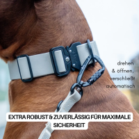 Führleine WOOFLEX® Pro verstellbar Desert Sand