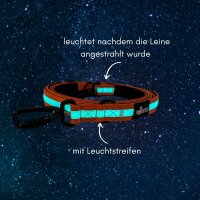 Nylon Führleine Pro Orange Glow