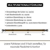 taktische Nylon Führleine Dark Brown