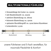 taktische Nylon Führleine Desert Tan