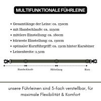 taktische Nylon Führleine Noble Olive