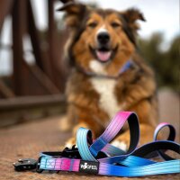 taktische Nylon Führleine Pink Blue Sky