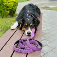 taktische Nylon Führleine Velvet Purple