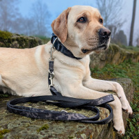 Nylon Classic Führleine Black Camo