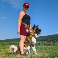 Gassigürtel Military Olive - verstellbar mit...