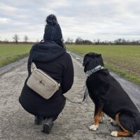 Multifunktionale Gassitasche - 2 in 1 Bauchtasche &...