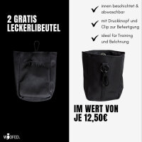 Multifunktionale Gassitasche - 2 in 1 Bauchtasche & Schultertasche Deep Black