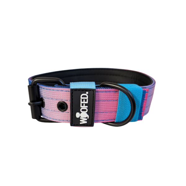 Nylon Classic Halsband Pink Blue Sky