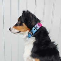 Nylon Classic Halsband Pink Blue Sky