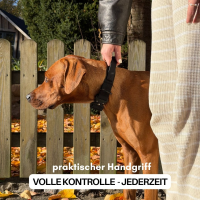 Halsband WOOFLEX® Tactical verstellbar Phantom Black