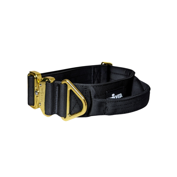 taktisches Nylon Halsband Black Gold