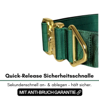 taktisches Nylon Halsband Emerald Green