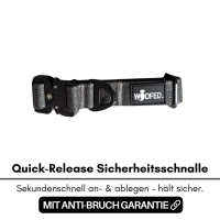taktisches Nylon Halsband für kleine Hunde Anthracite