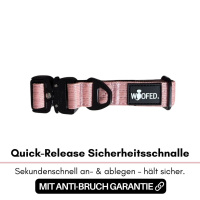 taktisches Nylon Halsband für kleine Hunde Dusty Rose