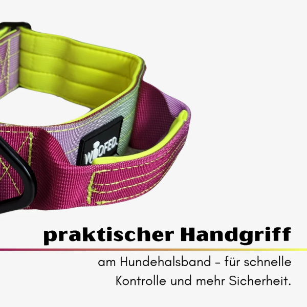 taktisches Nylon Halsband Lime Wine