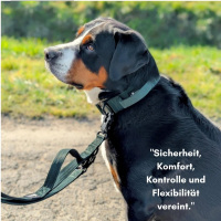 taktisches Nylon Halsband mit Griff Dark Green - ultraleicht