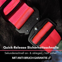 taktisches Nylon Halsband Pink Bloom - ultraleicht