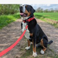 taktisches Nylon Halsband Rosso Red