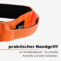 taktisches Nylon Halsband Safety Orange