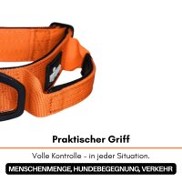 taktisches Nylon Halsband Safety Orange - ultraleicht