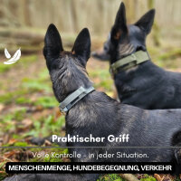 taktisches Nylon Halsband Silver Grey