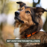 Halsband WOOFLEX® Classic verstellbar Sunset Orange