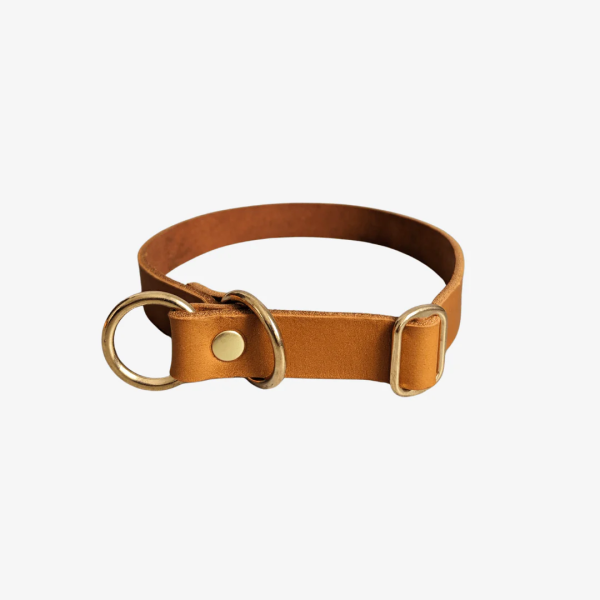 Leder Halsband Zugstopp