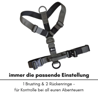 Y-Hundegeschirr 4fach-verstellbar mit Griff und...