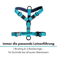 Y-Hundegeschirr 4fach-verstellbar mit Griff und...