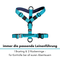 Y-Hundegeschirr 4fach-verstellbar mit Griff und...