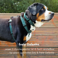 Y-Hundegeschirr 4fach-verstellbar mit Griff und...