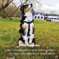 Y-Hundegeschirr 4fach-verstellbar mit Griff und...