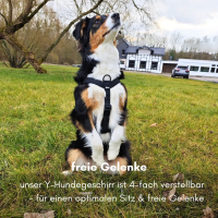 Y-Hundegeschirr 4fach-verstellbar mit Griff und...