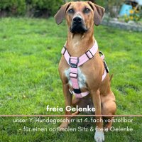 Y-Hundegeschirr 4fach-verstellbar mit Griff und...