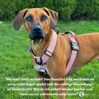 Y-Hundegeschirr 4fach-verstellbar mit Griff und...