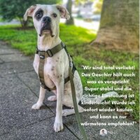 Y-Hundegeschirr 4fach-verstellbar mit Griff und...