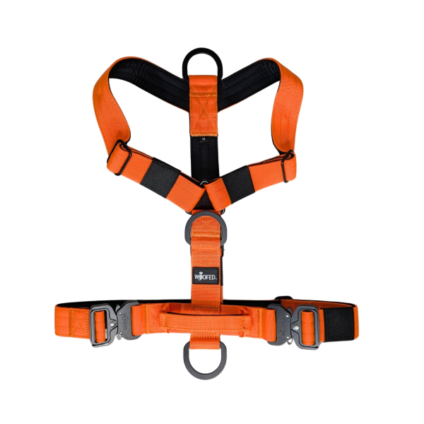 Y-Hundegeschirr 4fach-verstellbar mit Griff und Sicherheitsschnallen Safety Orange - ultraleicht