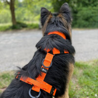 Y-Hundegeschirr 4fach-verstellbar mit Griff und...