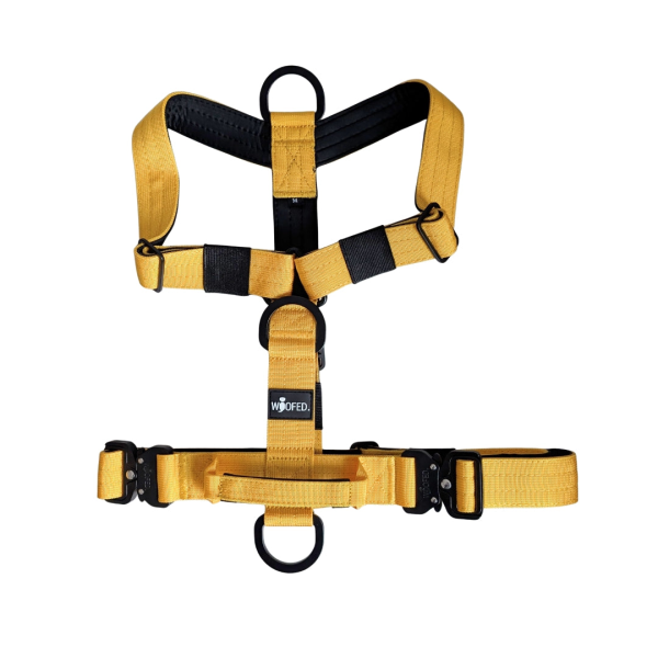 Y-Hundegeschirr 4fach-verstellbar mit Griff und Sicherheitsschnallen Sunset Yellow - ultraleicht