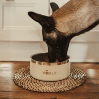 Premium Edelstahlnapf Creamy Beige