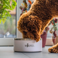 Premium Edelstahlnapf Pure White