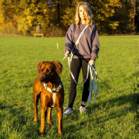 multifunktionale Schleppleine WOOFLEX® Desert Sand