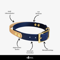 Biothane Halsband mit Griff verstellbar - 38mm / M 35-43cm