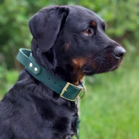 Leder Halsband mit Griff verstellbar - 40mm / XL 45-53cm